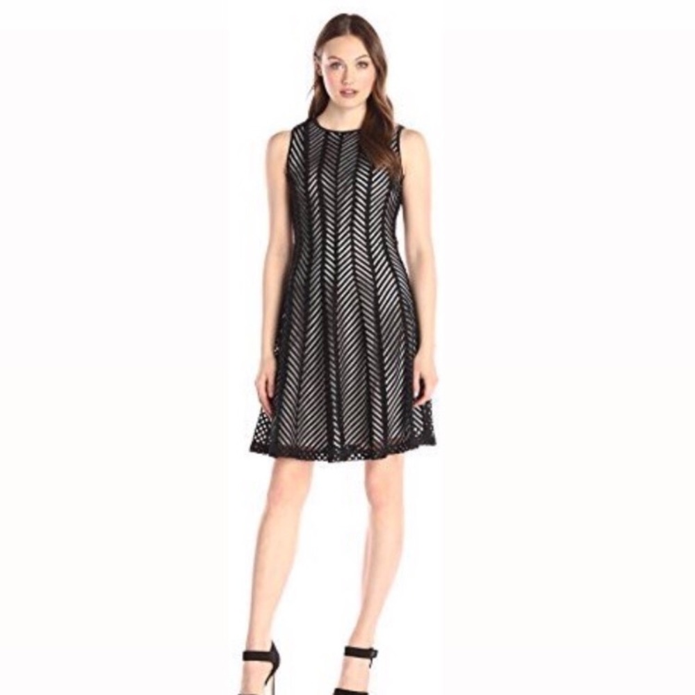 Calvin Klein White Paneled Lace Dress
